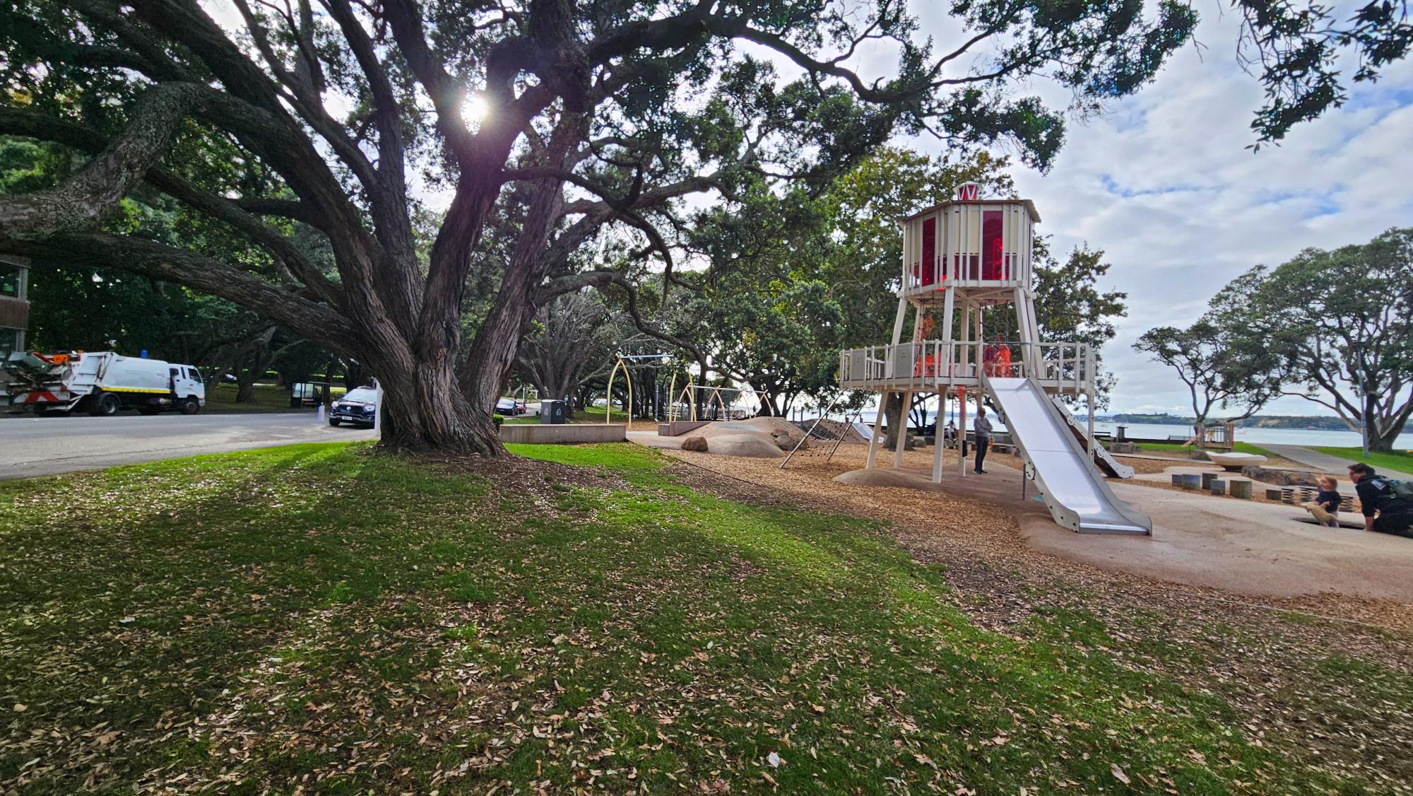 Large pohutukawa tree beside Devonport Playground, a short walk from the beach and village