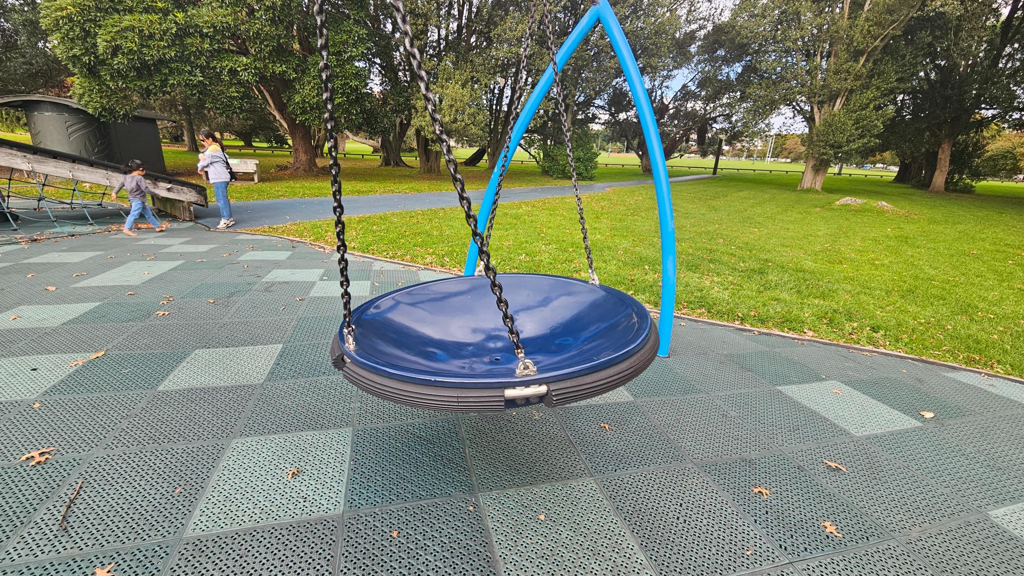 Uncommon bird's nest disc swing with a soft molded plastic bowl — not the usual fabric netting