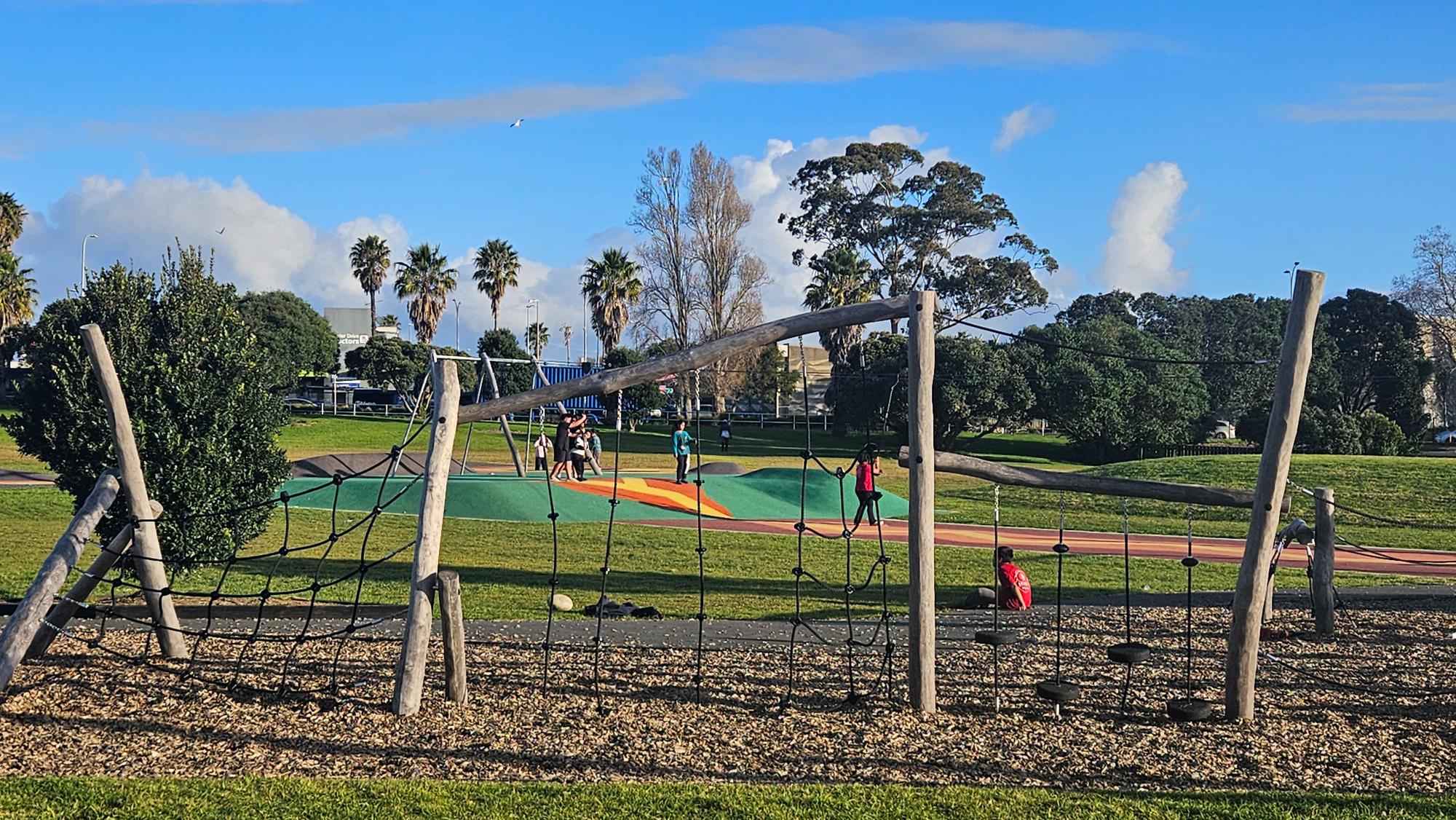 Twin flying foxes — two lines side by side, though the double setup is hard to spot clearly from this distance