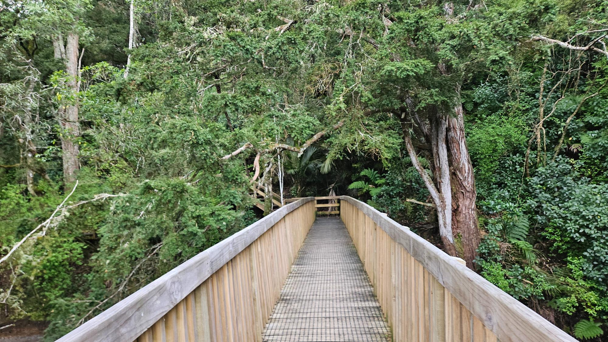 The reserve itself is beautiful, and the walk isn't too hard for kids — well worth doing while you're here.