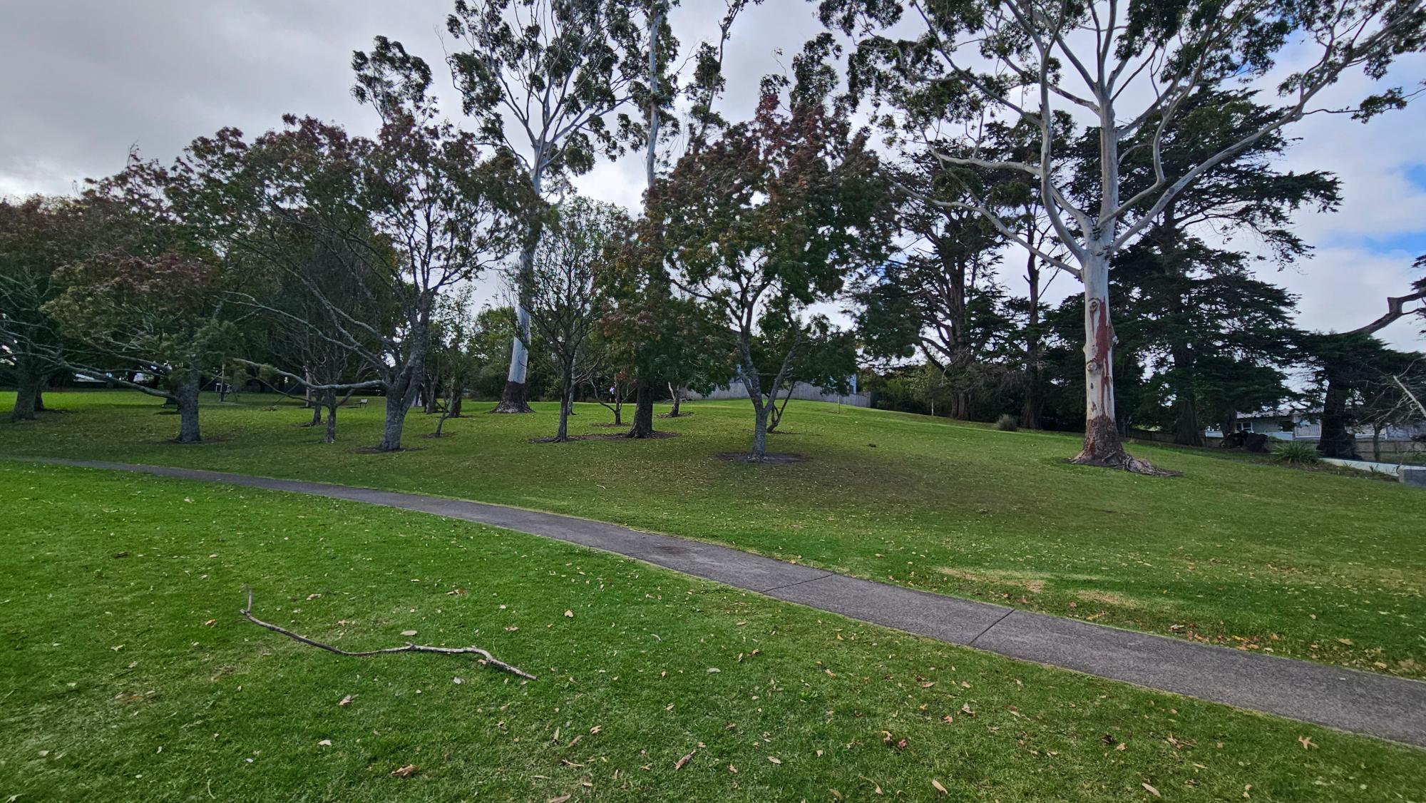 Hard to see in the photo, but the flying fox sits on the hill above the playground. It's easy to miss, but worth checking out if your kids enjoy flying foxes.