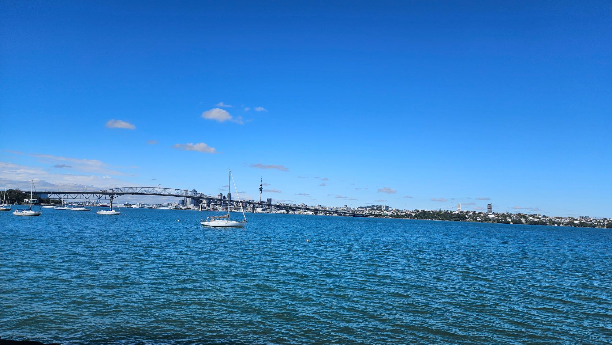 Harbour outlook from Hinemoa Park toward Auckland CBD across Waitematā Harbour