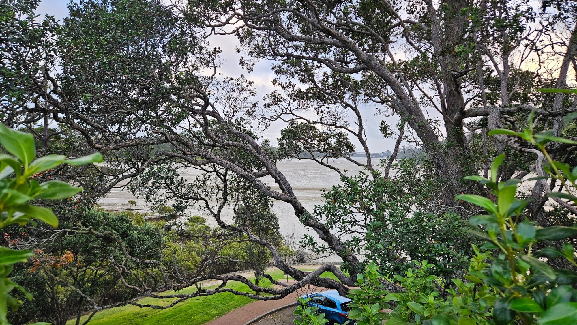 If you follow the steps tucked away in one corner of the playground and head on down, you'll find a charming little walking path waiting for you at the bottom.