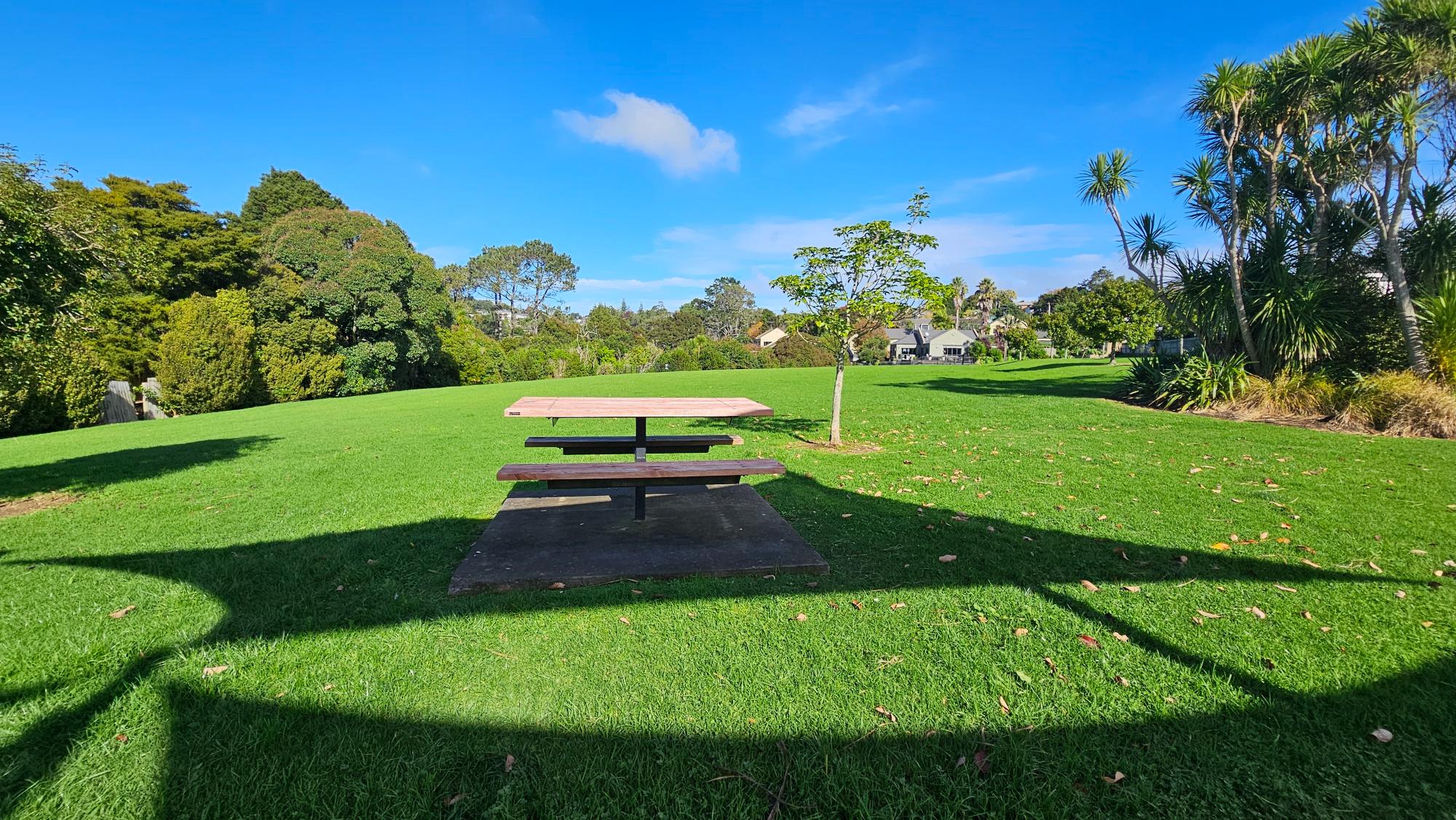 The reserve opens wide beside the playground — plenty of room to run, and sunny picnic tables make lunch easy
