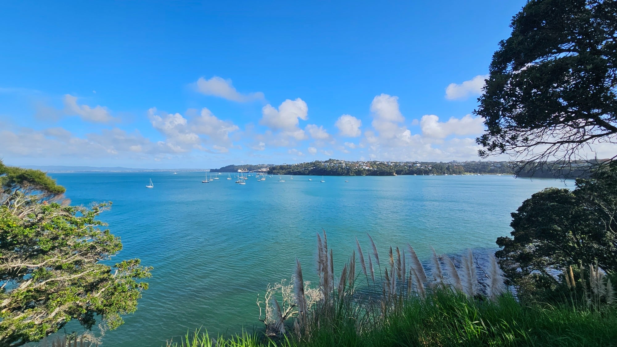 Cross Queen Street from the reserve for wide, beautiful harbour and sea views
