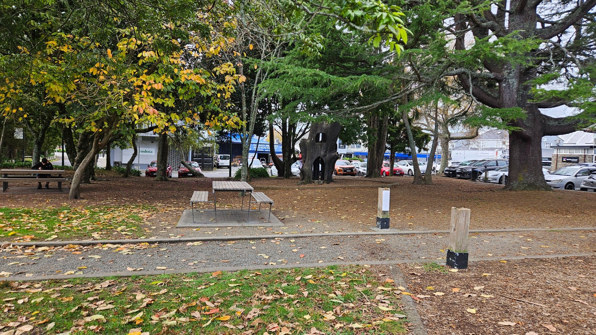 Picnic-friendly lawns and trees at Kell Park, Albany