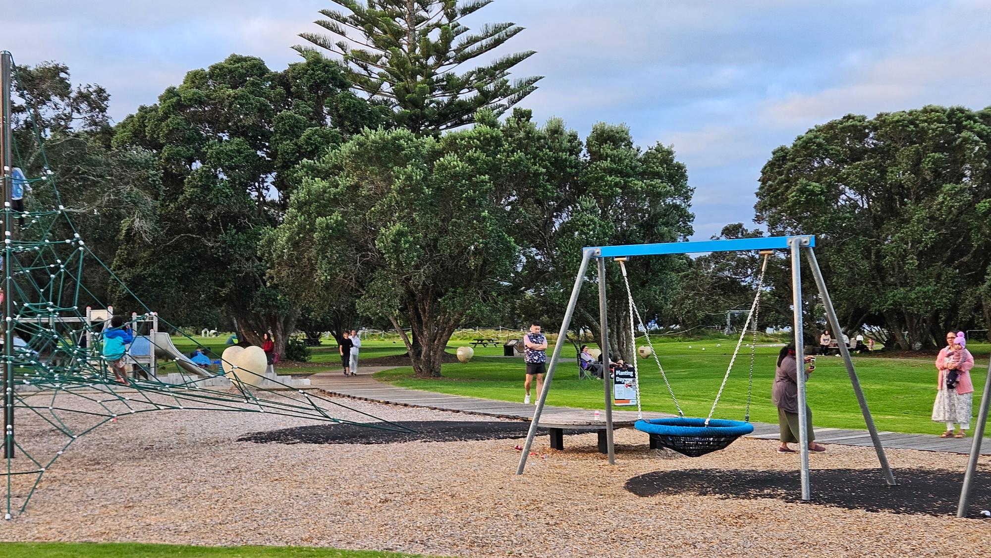 Large nest swing and open grass at Long Bay Park Playground