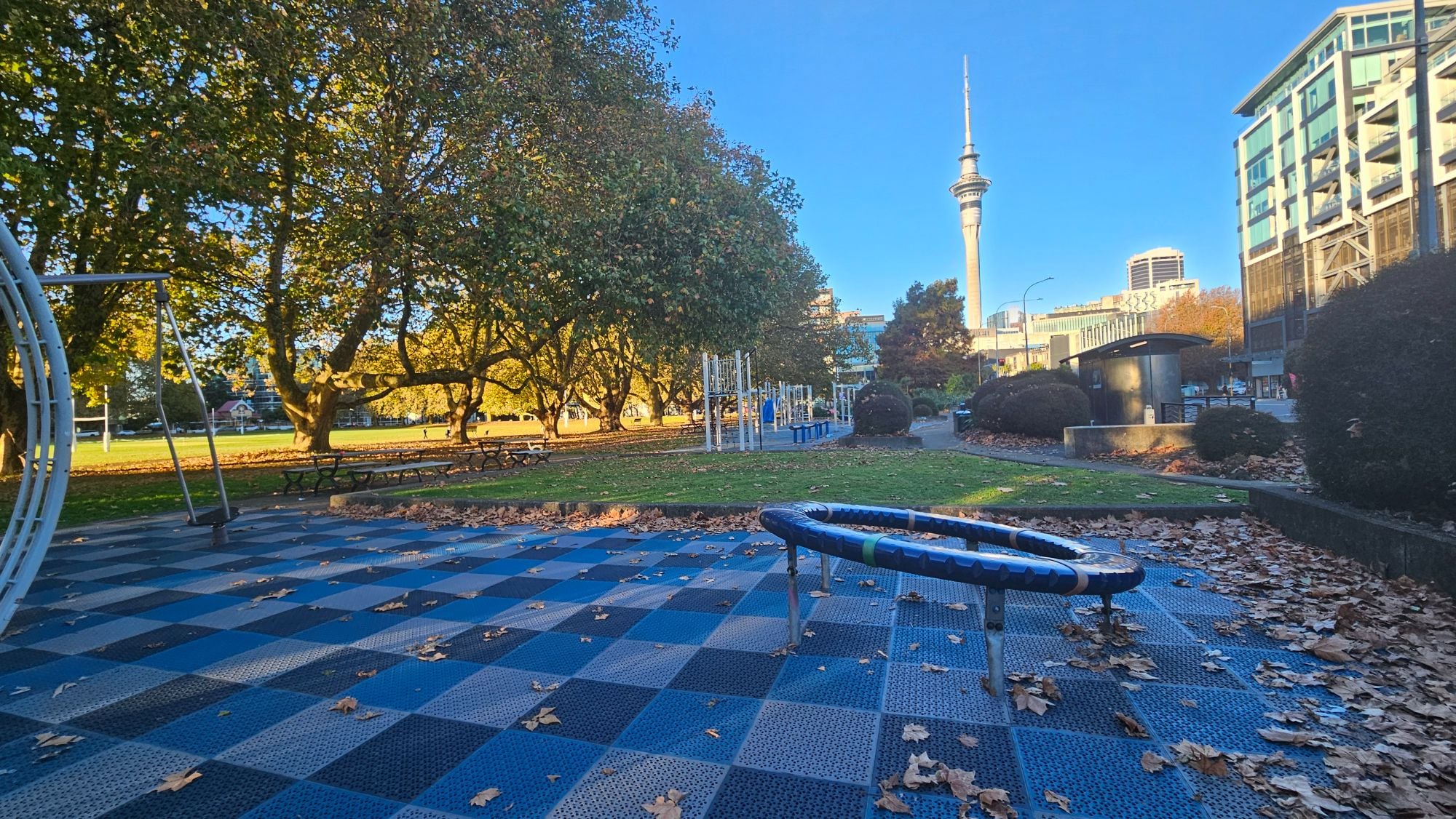 Sky Tower from Victoria Park Playground