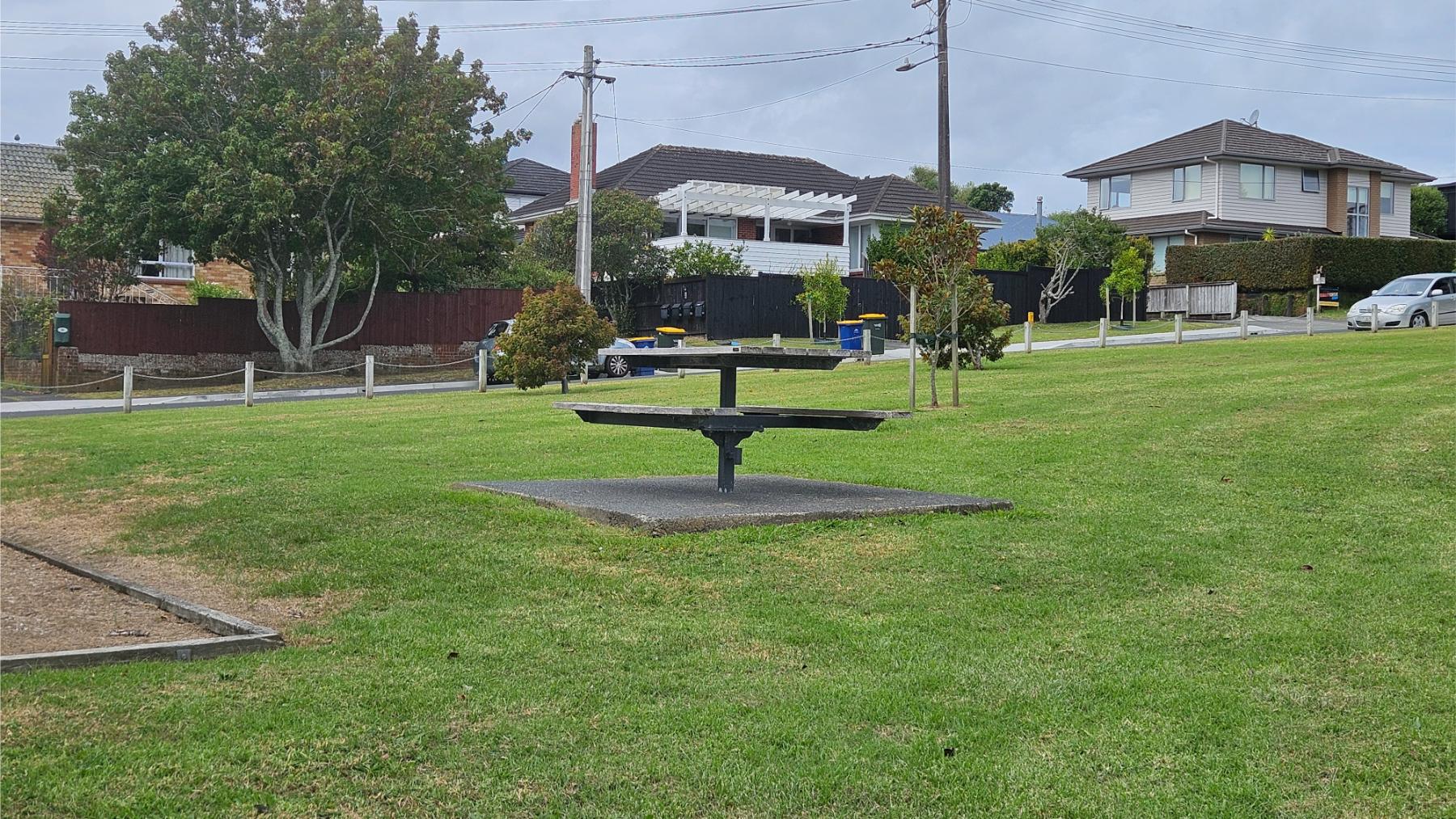 Open lawns, shade trees, and picnic areas at Montgomery Reserve, Devonport