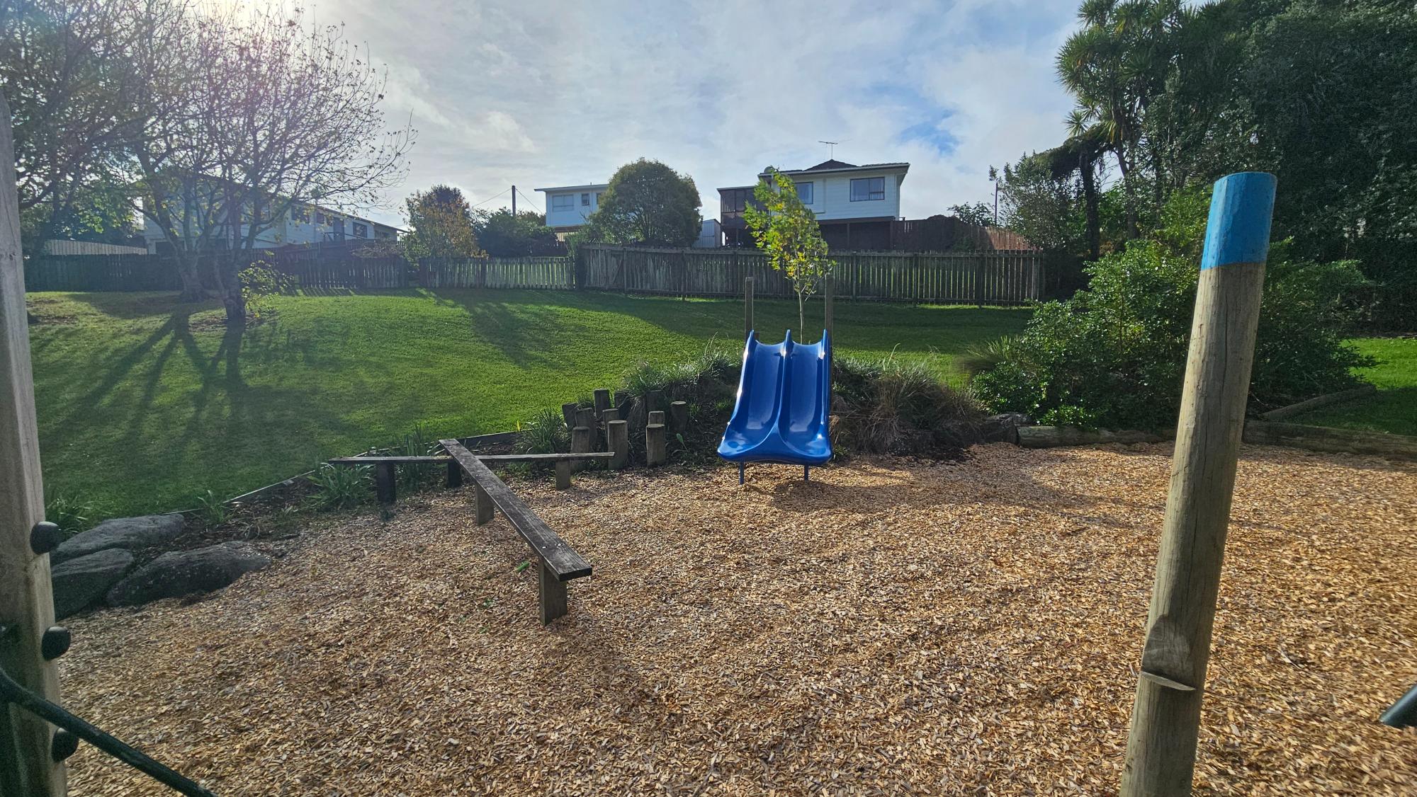Toddler-friendly double slide set on a small slope