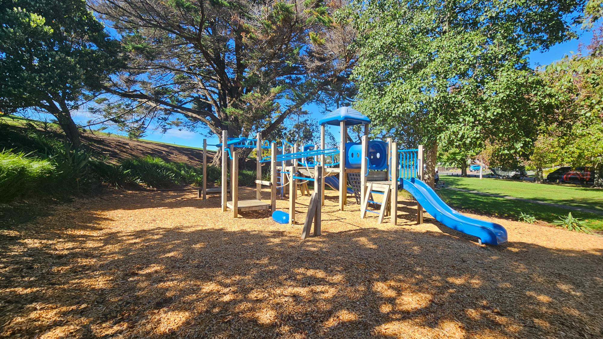 Circular monkey bars and adjacent picnic table at Stafford Park playground — climbing gear best for taller kids